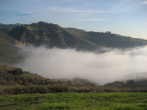 fog fills the canyon