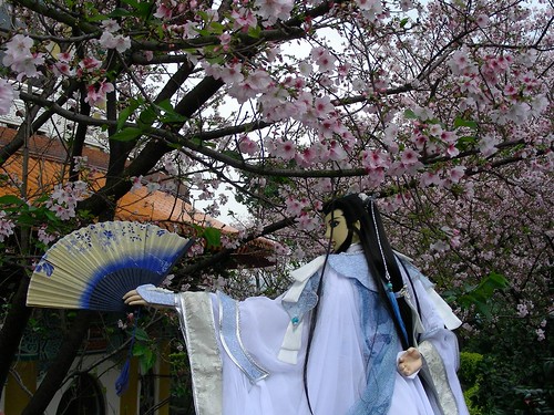 天元宮-吉野櫻與布袋戲偶