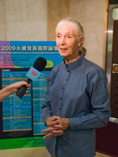 Dr. Jane Goodall Interviewed 珍古德博士受訪