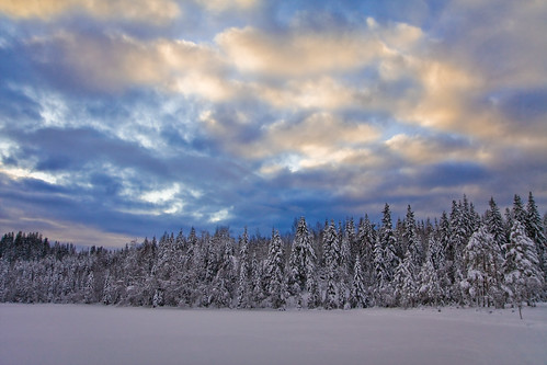 Winter Landscape at Tryvann
