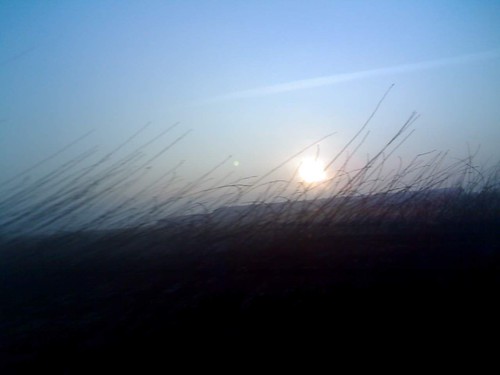 Sunset & Fog 365/01
