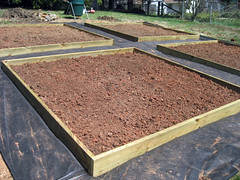 finished garden beds