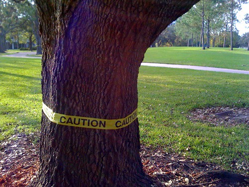 Caution: Tree