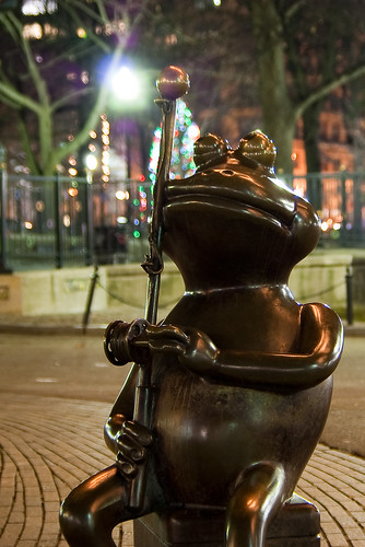 Frog Pond by night