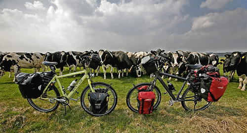Las bicis nuevas de Santos, nuestro sponsor y las vacas curiosas que vinieron corriendo a ver que pasaba
