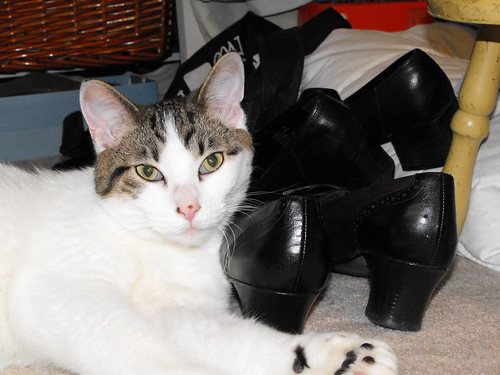 Victor Loves my New Shoes