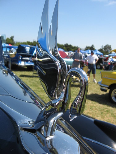 1940 Packard Hood Ornament by Brain Toad Photography 