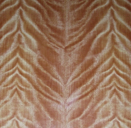wood grain texture. Wood Grain Texture *