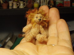 Toy lion - leluleijona