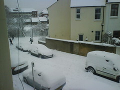 Neighbours having a snowball fight