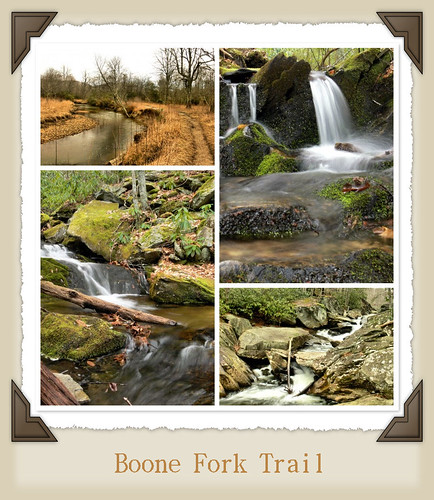 Boone Fork Trail Mosaic