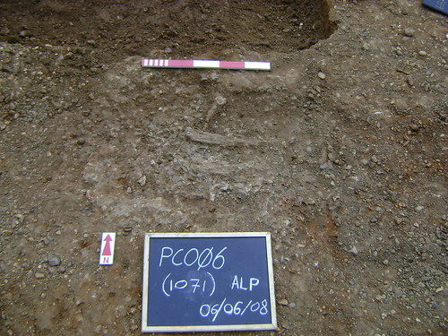 Tom's poorly preserved Roman burial with only long bones present