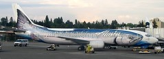 Alaska Airlines 737 in Wild Salmon colors