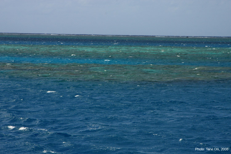 The Great Barrier Reef