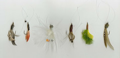 wives of henry 8 fishing lures.jpg