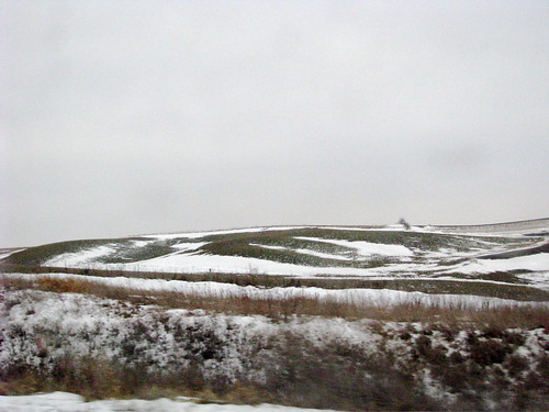 Rolling Hills of Iowa
