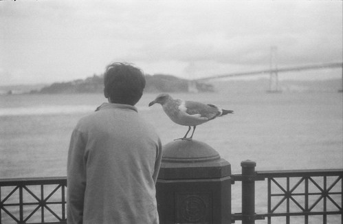 a man and a seagull