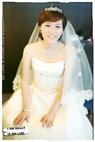 你拍攝的 20090118健琳結婚。