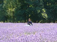 20090119b Megz mows the lavender field
