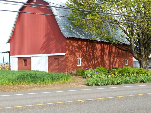 Red Barn with irises