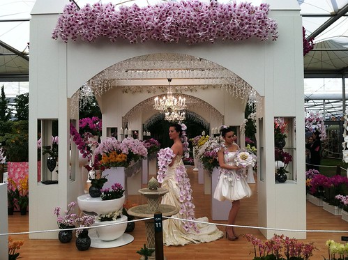 Orchid Wedding