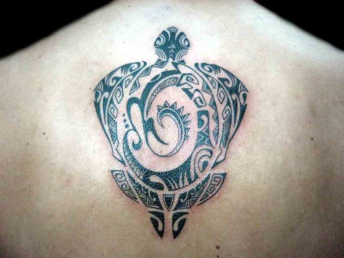 maori polynesian tattoo. maori polynesian tattoo. Tatuaje tortuga polinesiana by