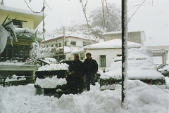 lakki in the snow