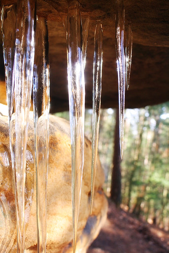 icicle in the sun