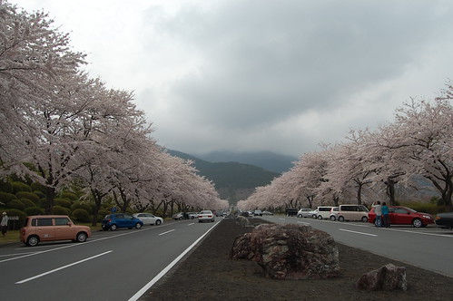 2008-04-16  Fuji Reien