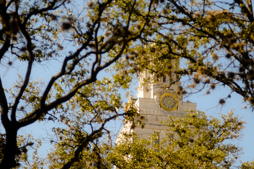 Tower Through Branches