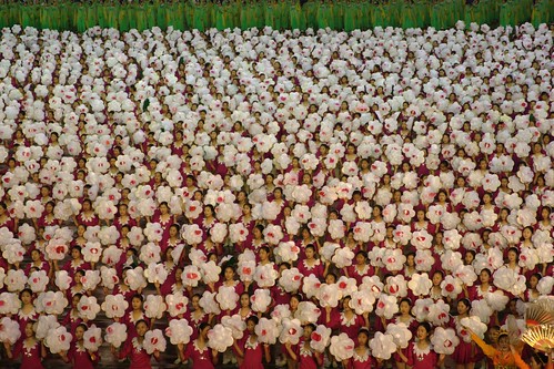 flowers (DPRK)
