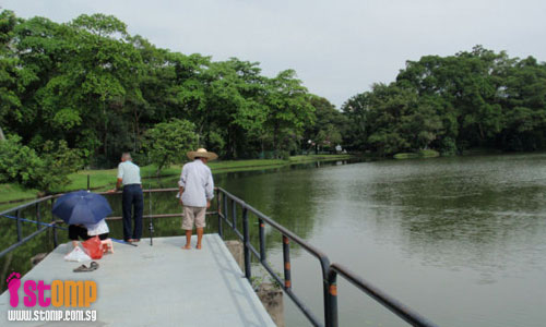 Nature at its best and worst at Jurong Lake