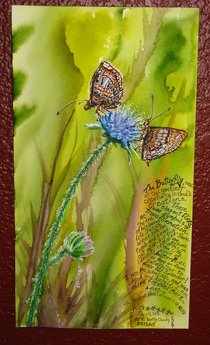 Butterflies fav Watercolor Painting of Pyrgus olieus