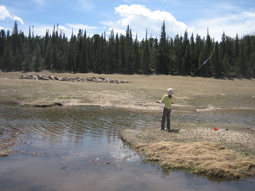 2008-06-01_08_christine_practices_fly_fishing