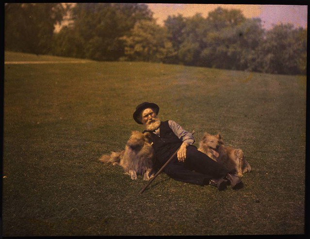 Man lying on ground with two dogs