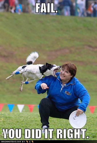 Funny Dog Pictures - Dog Bites Frisbee Womans Face