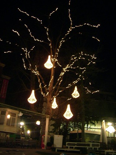 lamp tree by night