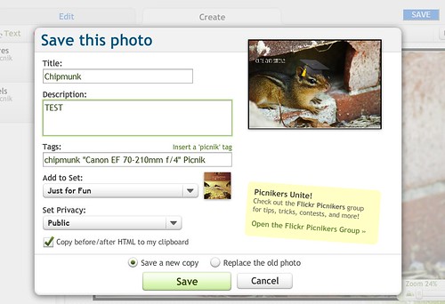 How to use Picnik