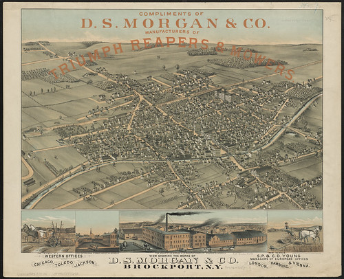 View showing the works of D.S. Morgan & Co., Brockport, N.Y. 