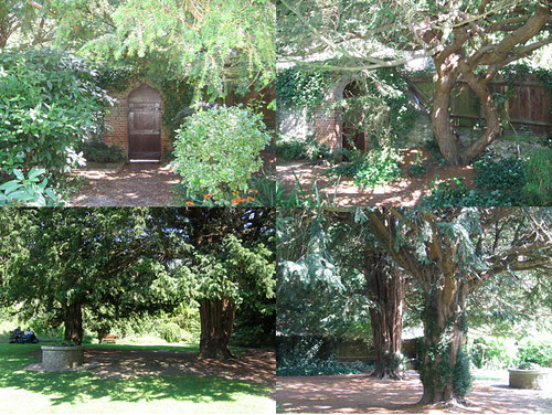 Lower Gardens collage