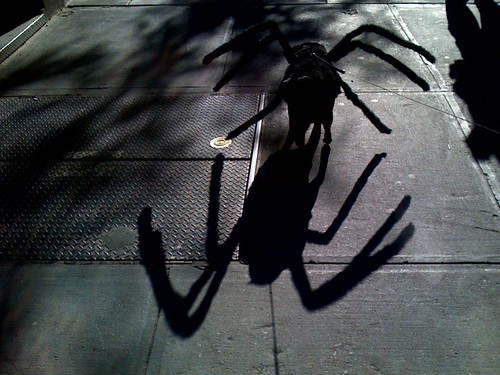 Spider-Dog spider shadow