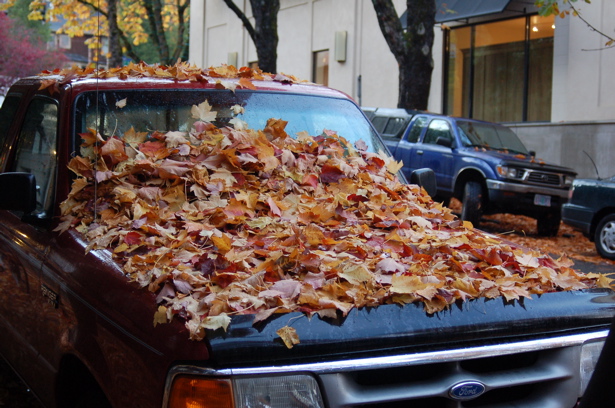 autumn_leaves_ford