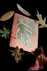 Leaf Rubbing Card