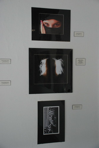 Mount Mercy Art Student Summer Exhibit, 2011