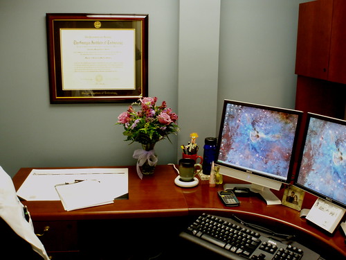 my office, with flowers