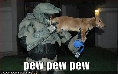 funny-pictures-halo-dog-pew