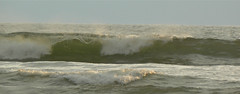 Waves on Indian Beach #1