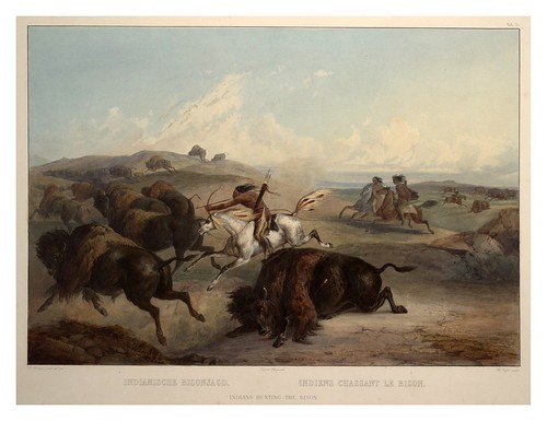 0064r- Indios cazando Bisontes
