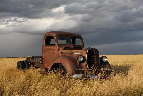 Rusty old 1939 Ford truck in a field in Southern Alberta just minutes before