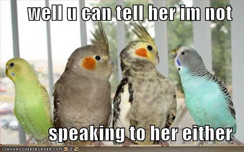 funny-pictures-birds-not-speaking-parrots